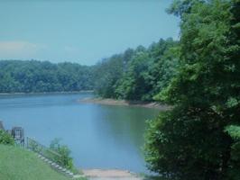 Lot 23 Moss Meadows DR