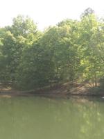 Lot 33 Lake View PT