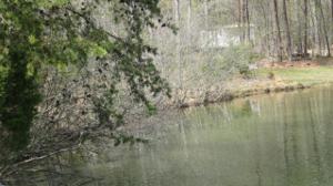 Lot 2 COX ST