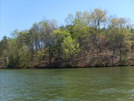 Lot 20 Watchtower DR