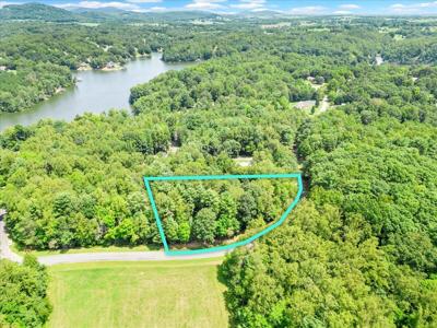 Lot 11 Walnut Run DR