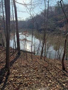 Lot 26 Poplar DR