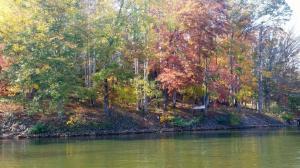 Lot 1 Lakeside LN