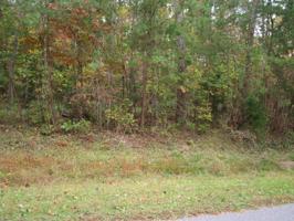 LOT 13 Peninsula DR