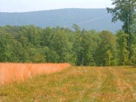 0 Trading Post RD Lot #Tract A