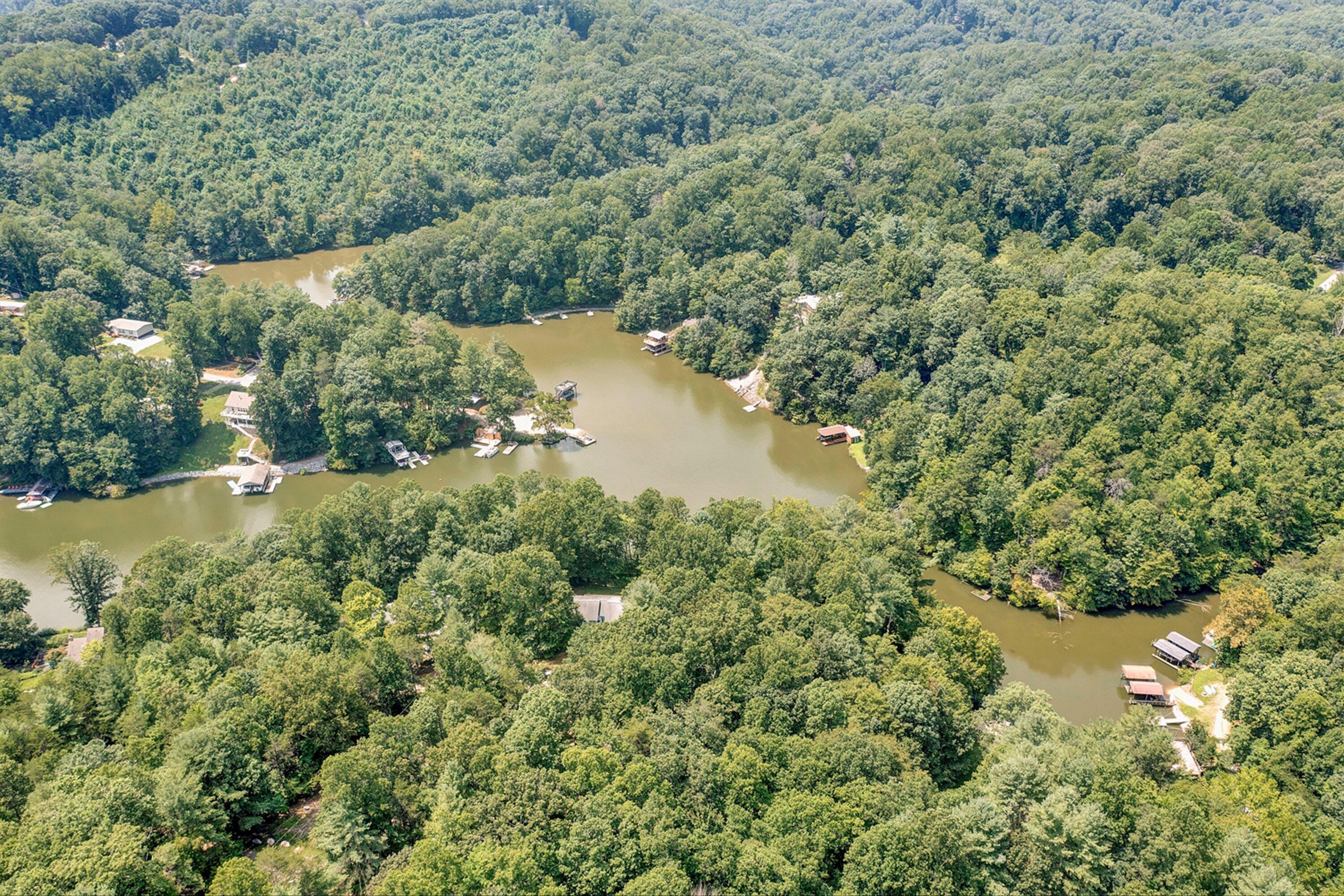 Image 4: 55-DJI_0819
