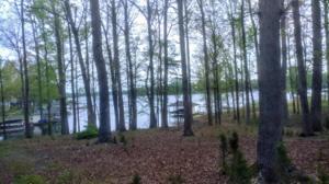 Lot 9 Big Cove DR