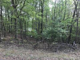 Lot 15 Kings WAY