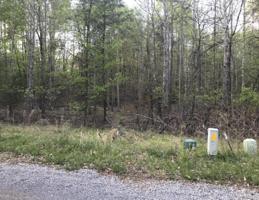 Lot 23 Kings WAY
