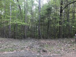 Lot 14 Kings WAY