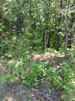 Lot 10 Lake Park DR