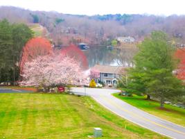 114 Waterside DR Unit #B-3