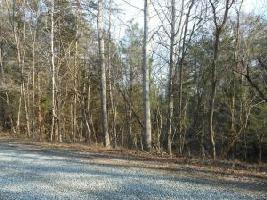 Lot 35 Blazing Ridge DR