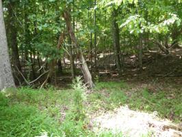 Lot 2 MONTEVISTA RD