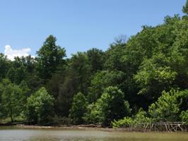 Lot 61 STILLWATER LN