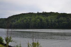 Lot 1 Thomason LN
