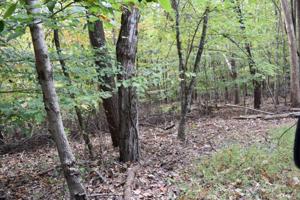 0 Coronada LN Lot #45