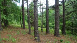 Lot 27 Watchtower DR