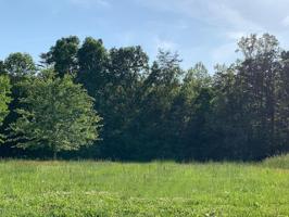 Lot 20 Lake Park DR