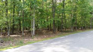 Lot 48 Forest Lawn DR
