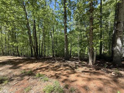 Lot #15 Cedar Bluff LN