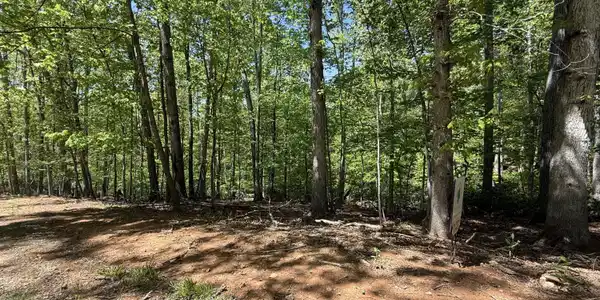 Lot #15 Cedar Bluff LN
