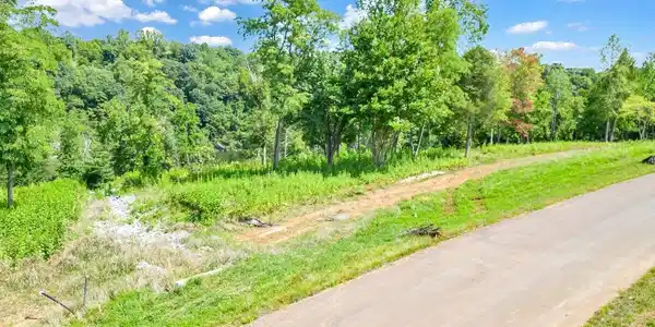 Image 3: DJI_0004