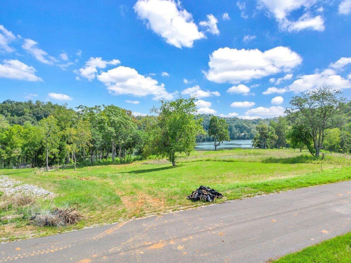 Image 2: DJI_0028