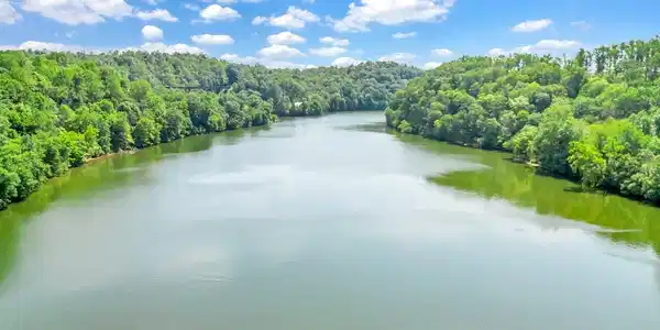 Image 3: DJI_0032
