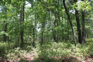 Lot 6 Parkside Acres LN
