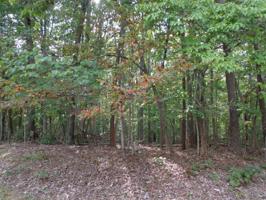 LOT 55 BENT TREE RD
