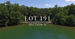 Lot 191 Silver Tee DR