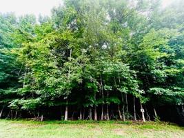 Lot 31 Back Nine DR