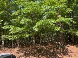 Lot 73 Deerwood DR