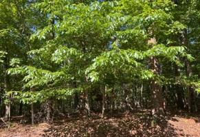 Lot 3 Deerwood DR