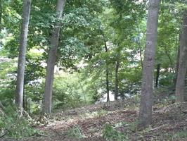 Lot 4 Clement DR