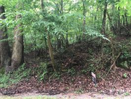 Lot 37 Old Mill DR
