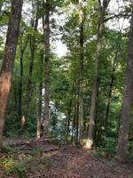 Lot 144 Noahs Knoll
