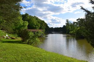 Lot 2 Buck Run DR
