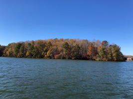 Lot #10 Dillards Hill RD