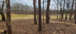 Lot 10 POINTE O WOODS DR