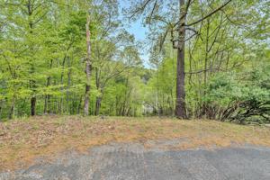 Lot 76 Walnut Run CT