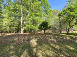 Lot #29 PINE RIDGE DR