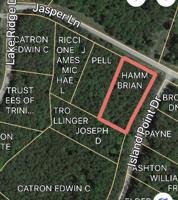 Lot 10 Island Point DR