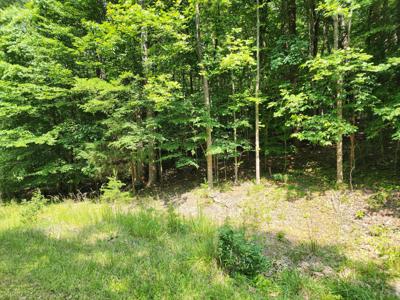 Lot 3 Highland Lake RD