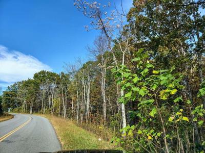 Tract 7 Three Oaks RD