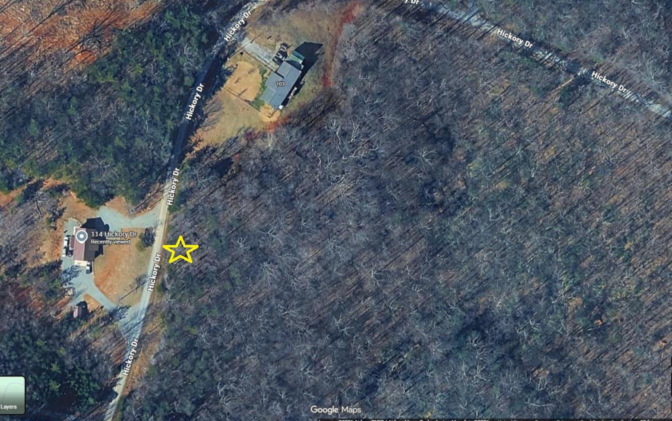 Image 2: screencapture-google-maps-place-9-Hickor
