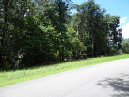 0 S Hickory Hill DR Lot #86 & 87