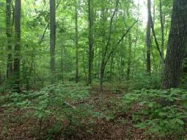 0 Summerset DR Lot #83