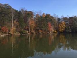 Lot 16 Moon Ridge LN